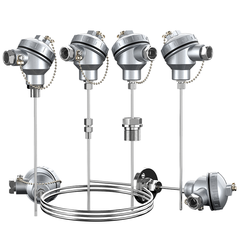 鎧裝熱電偶-阻10_http://m.sziloveyou.cn_溫度儀表_第1張