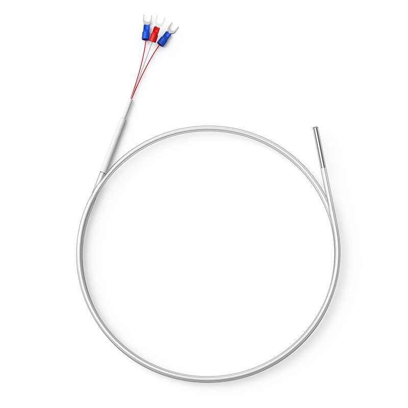 鐵氟龍熱電阻12_http://m.sziloveyou.cn_溫度儀表_第1張