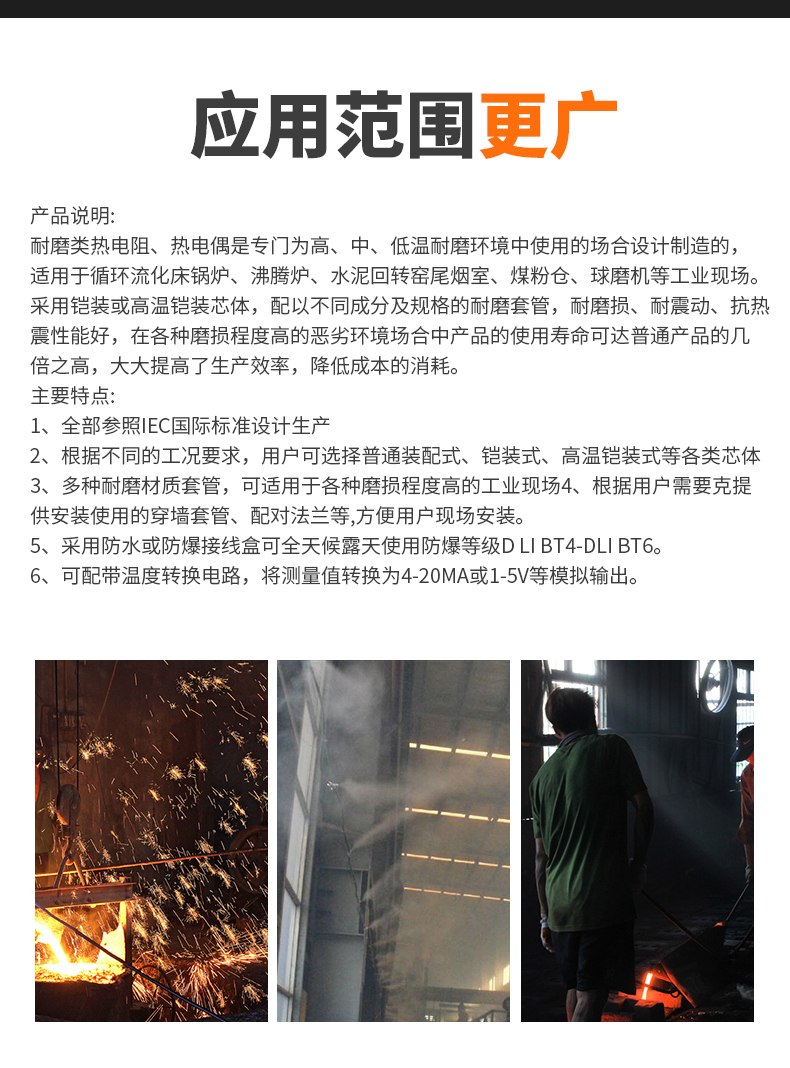 WRNM-131耐磨熱電偶15_http://m.sziloveyou.cn_溫度儀表_第6張