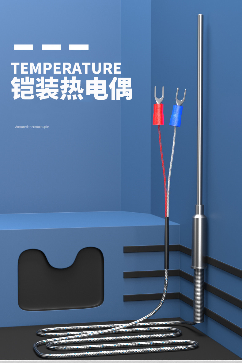 鎧裝溫度傳感器18_http://m.sziloveyou.cn_溫度儀表_第5張